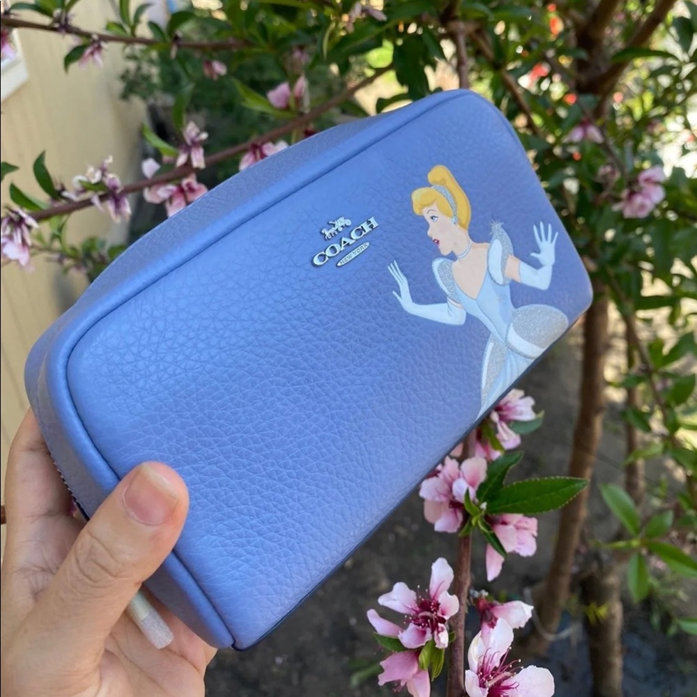COPY - Coach Cinderella cosmetic case